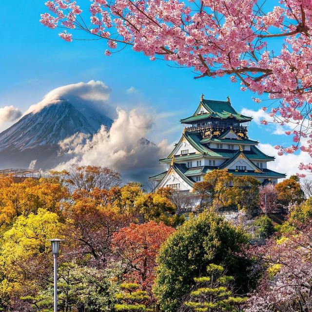 💕Japanese Honeymoon💕