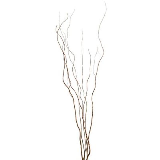 Curly Willow Branches