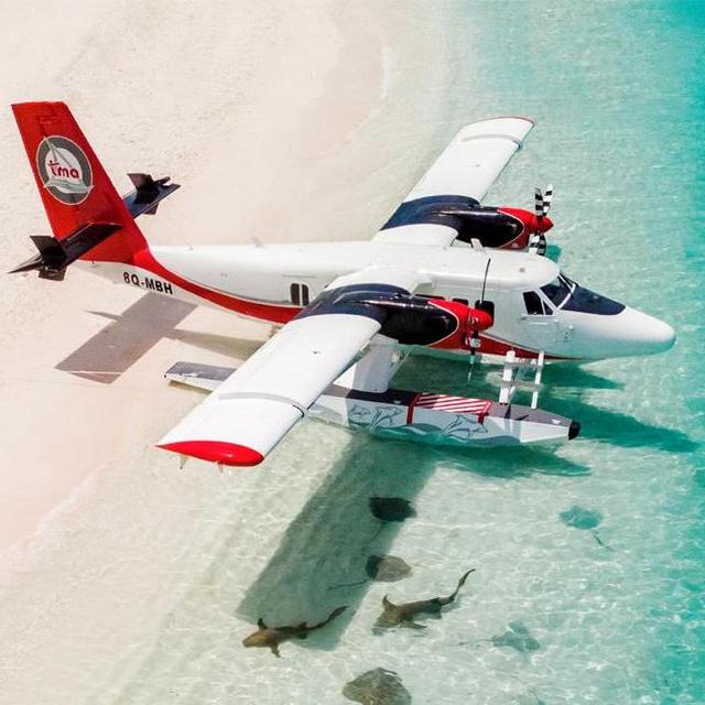 Honeymoon Seaplane Flight