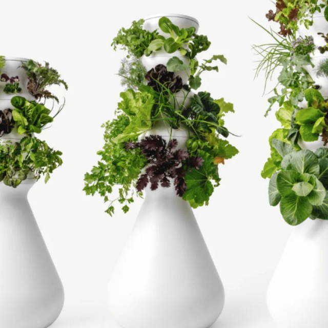Lettuce Grow Farmstand (18 plants)