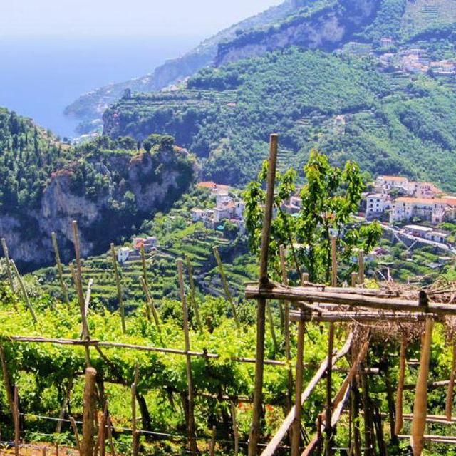 Wine Tasting - Greece