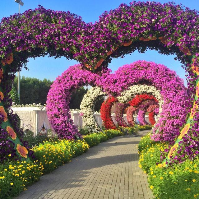 Private tour of the Dubai Gardens