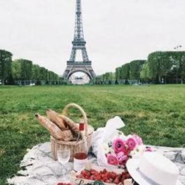 Picnic in Paris