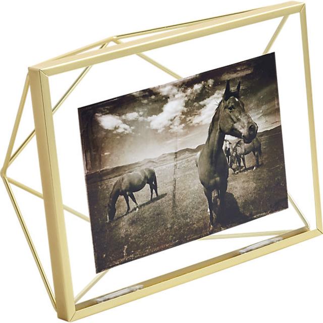 prisma 4"x6" picture  frame
