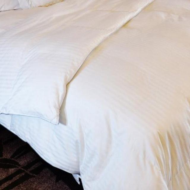 Natural Comfort Soft and Luxurious 300TC Sateen White Down Alternative Duvet Insert, Oversize King