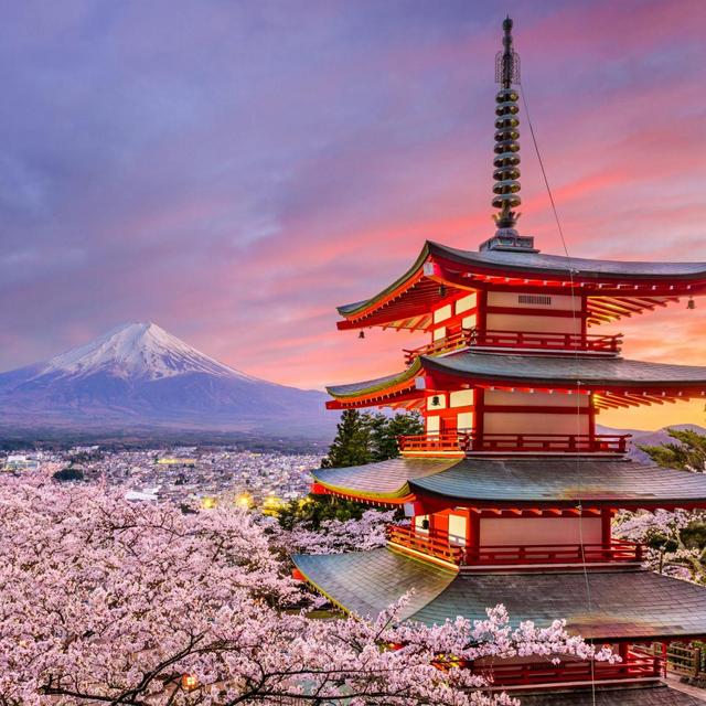 Honeymoon: Japan! 🇯🇵🍜🍡
