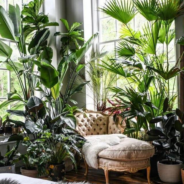 Plant Fund