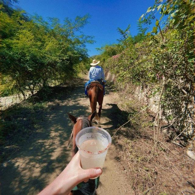 Horseback Riding, Mex BBQ, and Margarita Adventure
