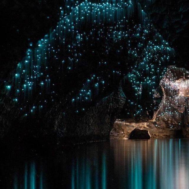 Honeymoon Fund: Black-water Rafting in Waitomo's Glow Worm Caves