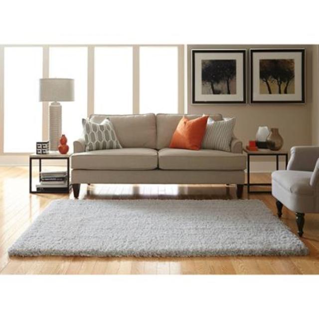 Plush Teddy Shag Rug