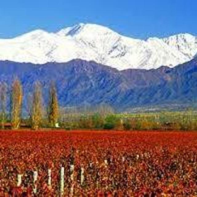 Honeymoon to Argentina!