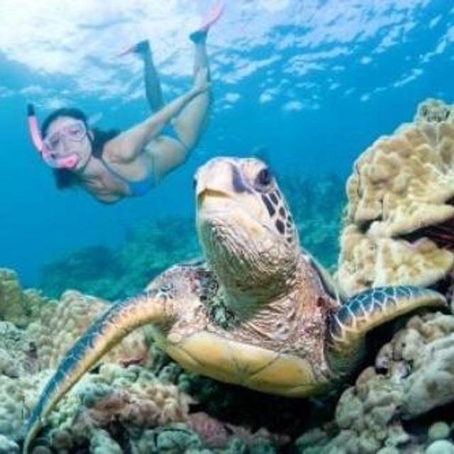 Snorkeling trip to Molokini Crater