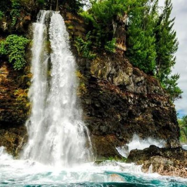Waterfall and Dolphin Boat Tour