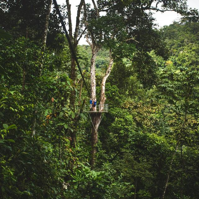 Pacuare Canopy Tour