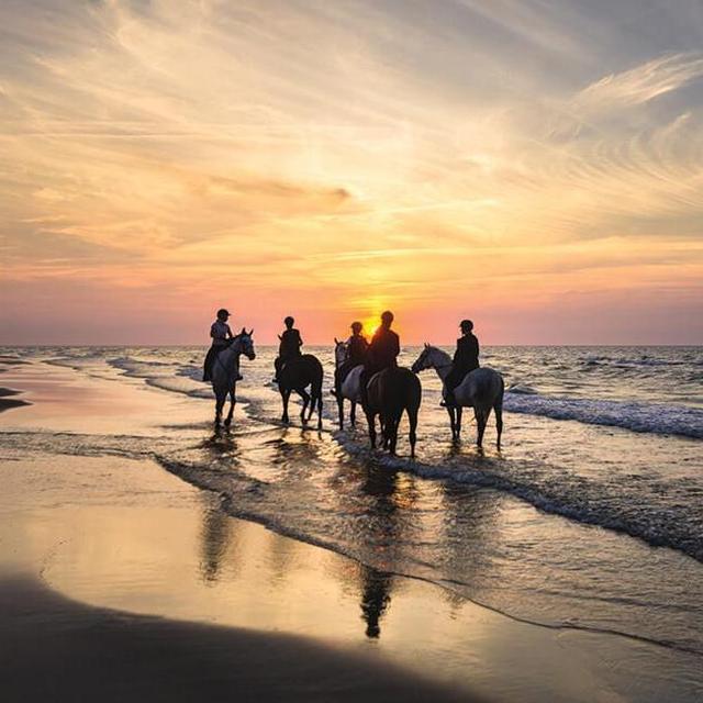 Honeymoon ARENAS BLANCAS HORSEBACK RIDING