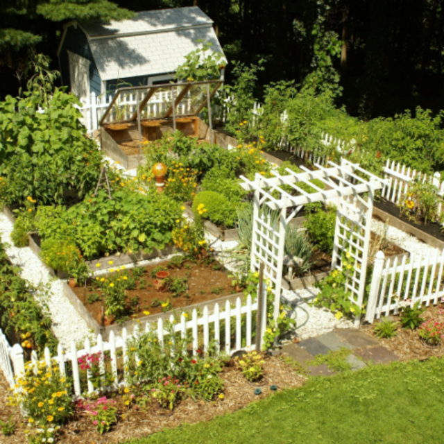Gardening