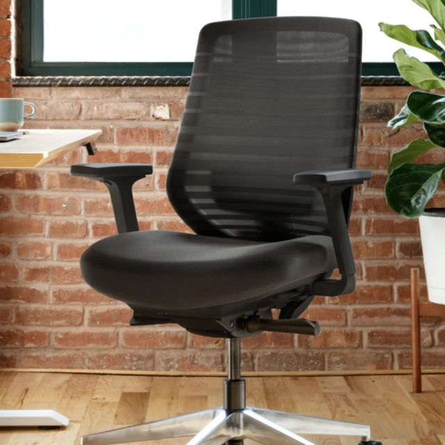 Branch Ergonomic Desk Chair