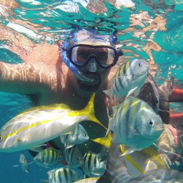 Snorkeling Trip - Venmo