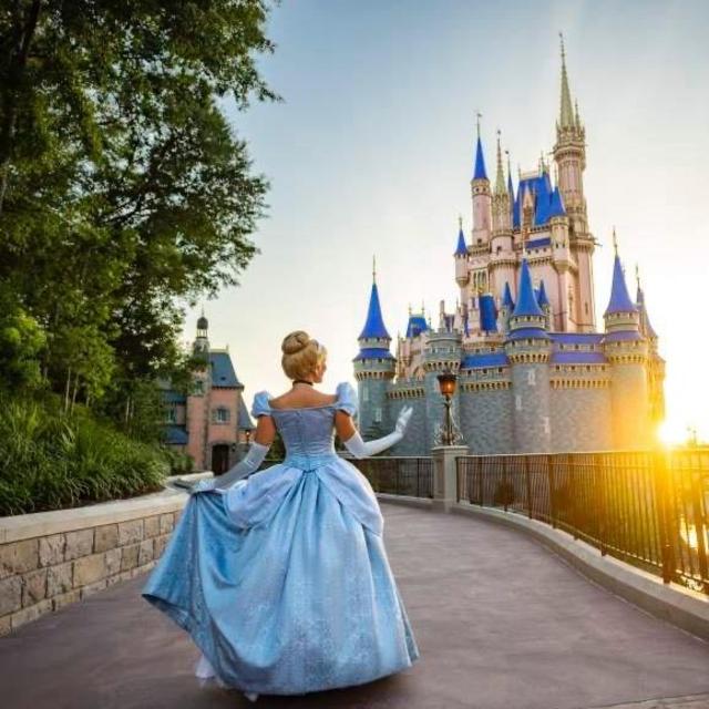 Honeymoon Fund to DISNEY WORLD
