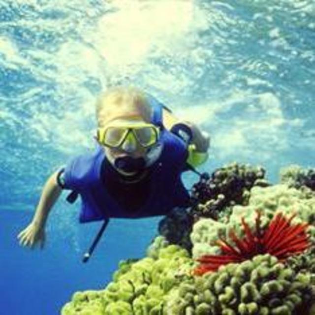 Maui Snorkel Tour