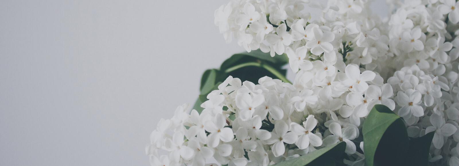 Dina Kuttab and Jason Kerkvliet's Wedding Registry on Zola, image size:1600x580