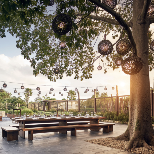Chef's Garden Dinner at La Ceiba