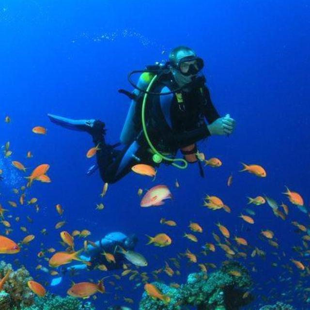 Scuba Diving
