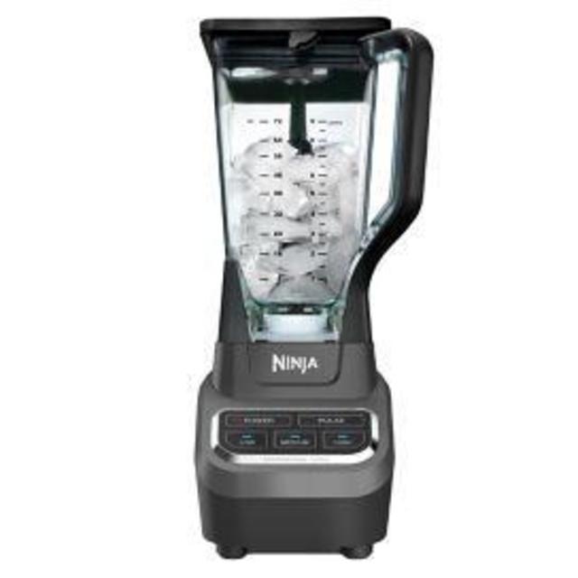 Ninja® Professional Blender in Black