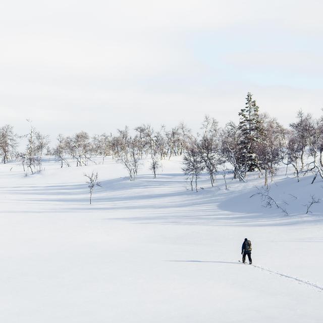 Cross country in the Northeast Kingdom