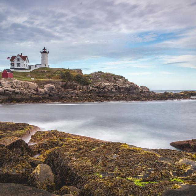 Maine for Days