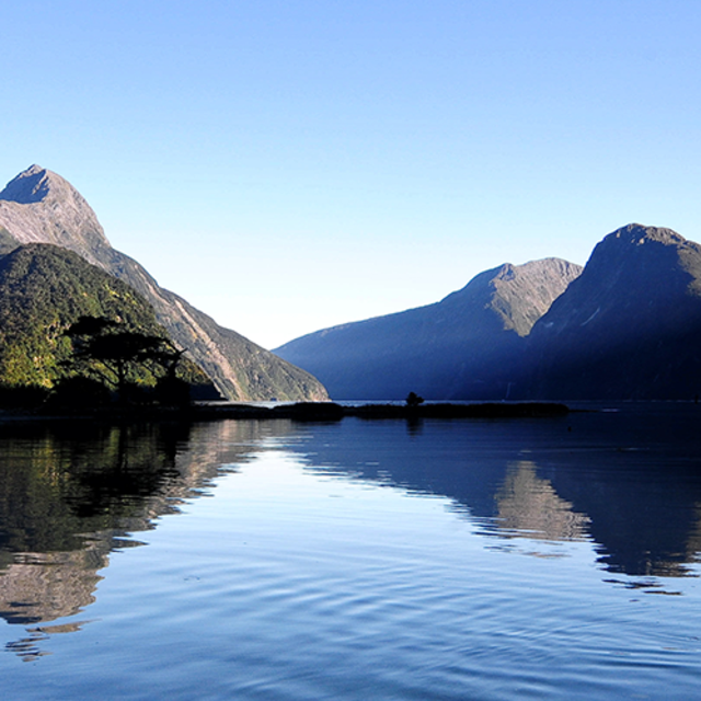 Milford Sound Day Tour