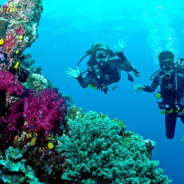 Scuba Diving