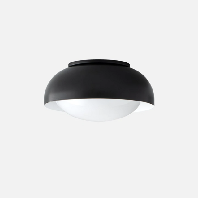 Ray 8"