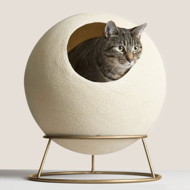 Stellar Cat Bed