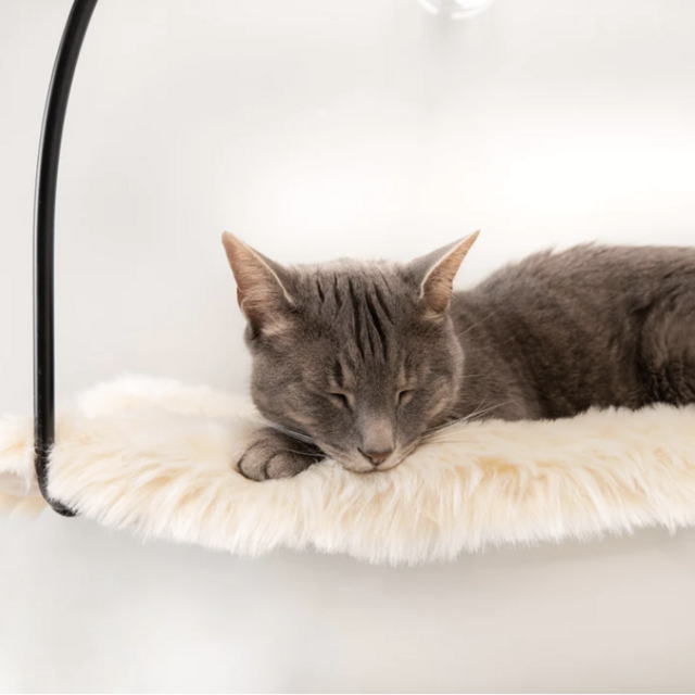 Cloud Nine Window Hammock