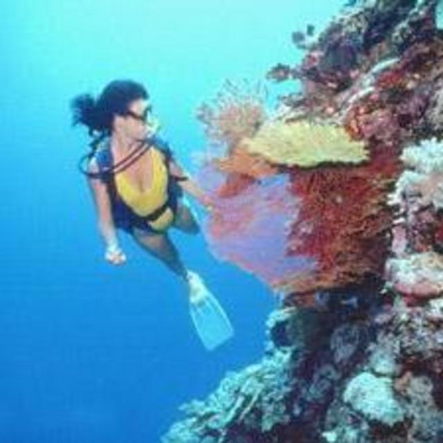 Scuba Diving in Antigua