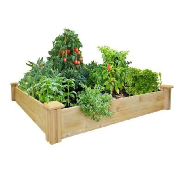 48 in. x 48 in. Cedar Raised Garden Bed