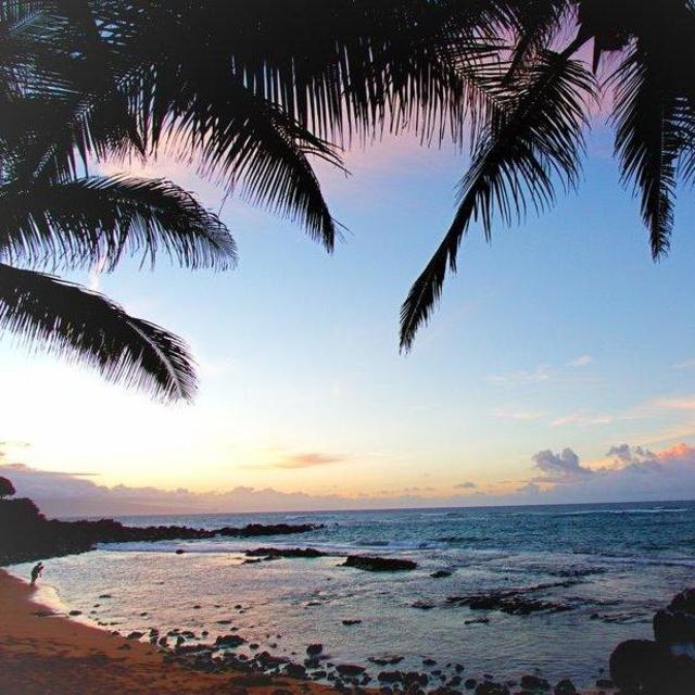 Hawaii Honeymoon Fund