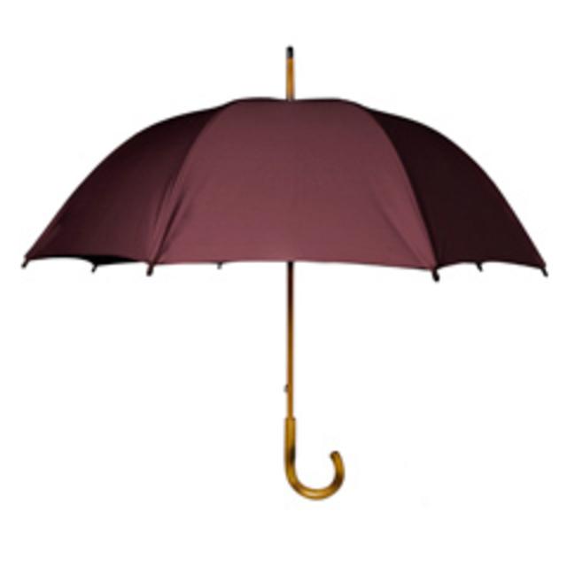 Umbrella with Maple Wood Handle (Maroon)