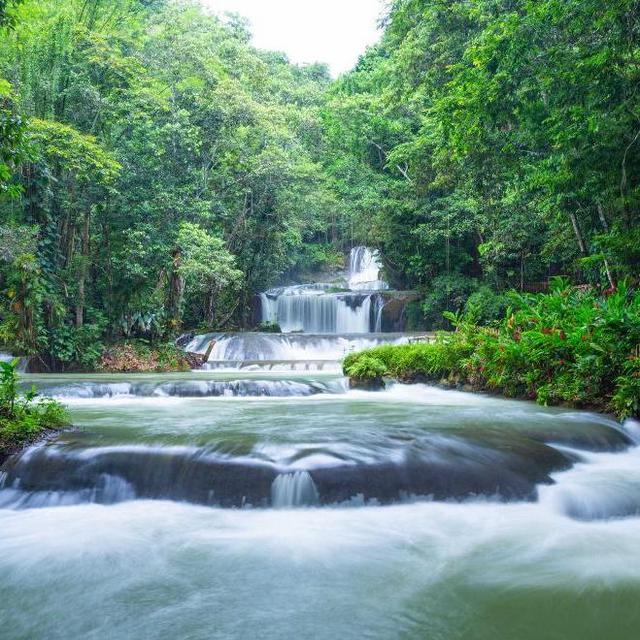 Honeymoon YS Falls Excursion