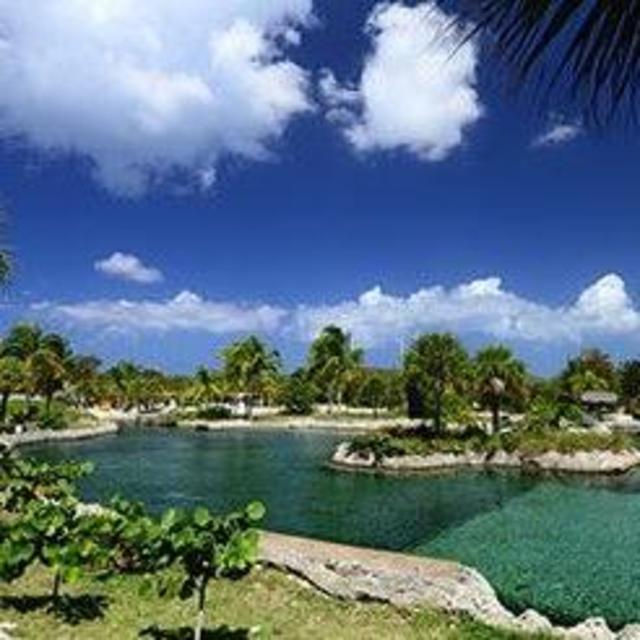 Guided Tour of Cayman Islands