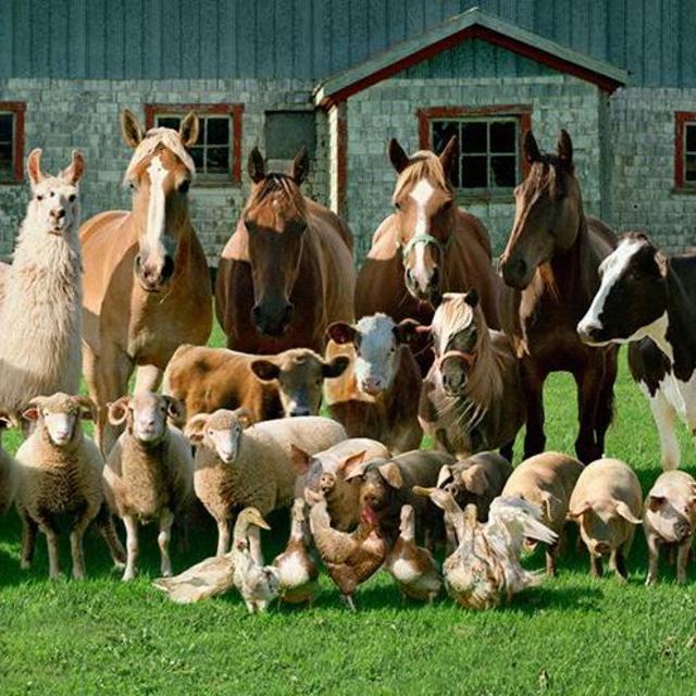 Future Farm Fund