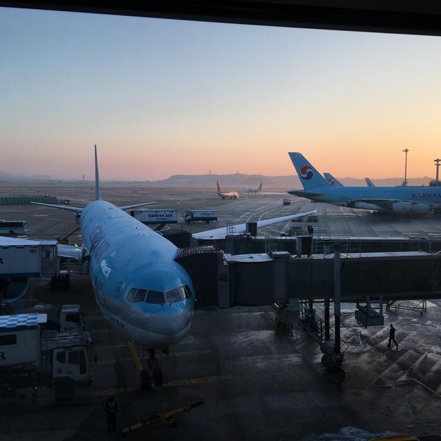 Honeymoon - Plane Ticket
