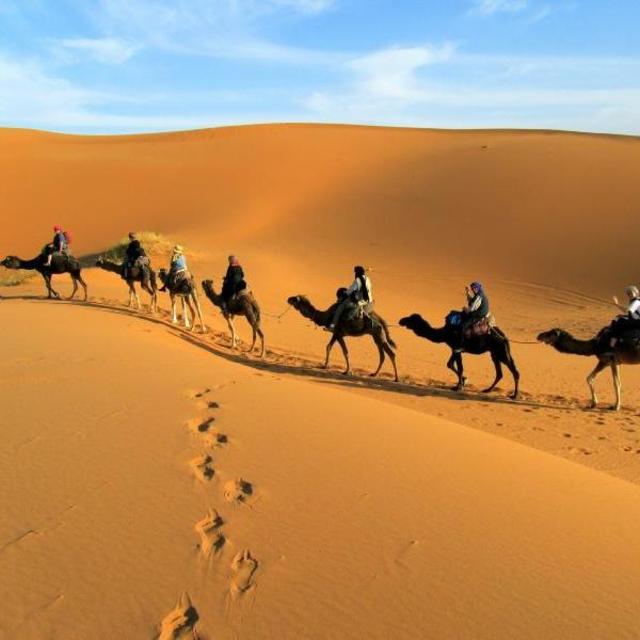 Camel Ride Tour