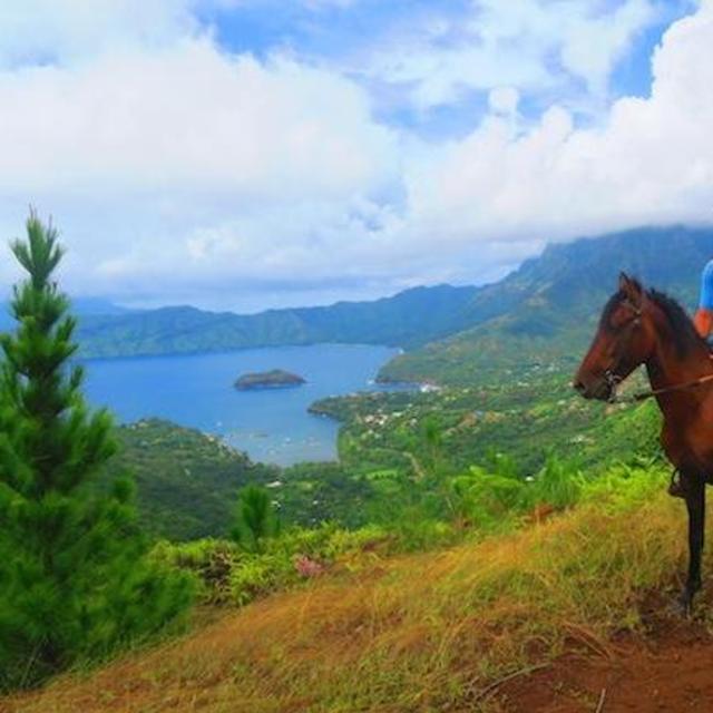 Horseback riding on the beach!