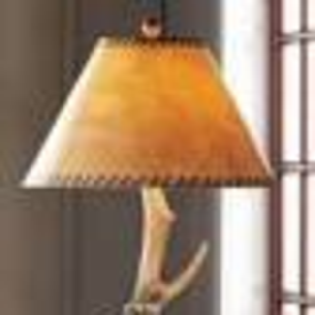 Cabela's Six-Antler Floor Lamp