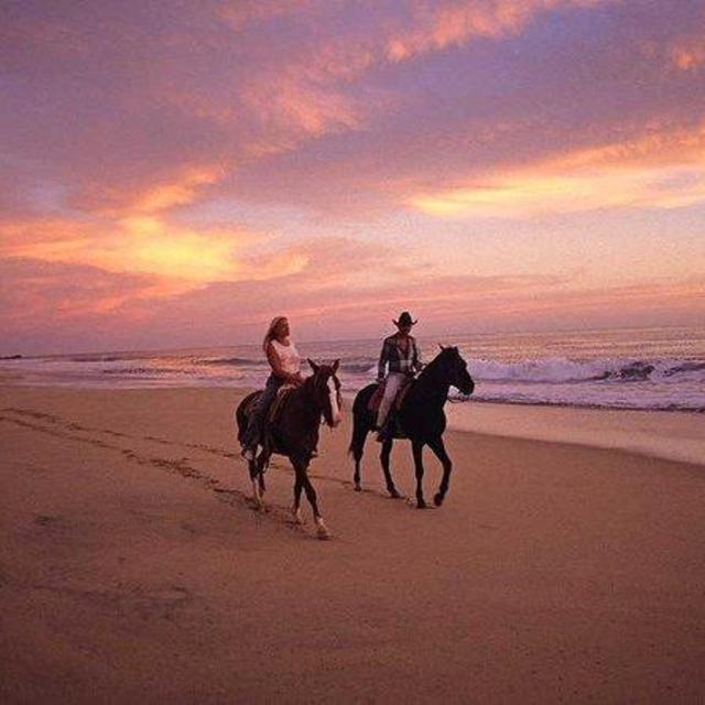 Beach-side Horseback Riding