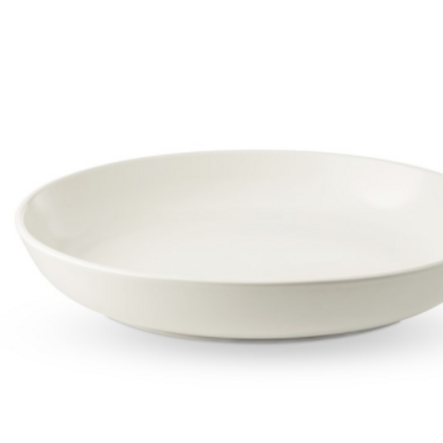 Terre Pasta Bowls Set of 4 - Matte Flax