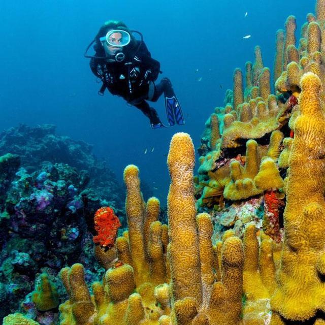 Scuba Diving