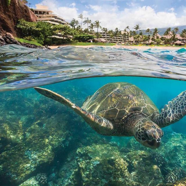 Honeymoon Fund (Credit Card)